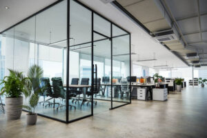 Our Company